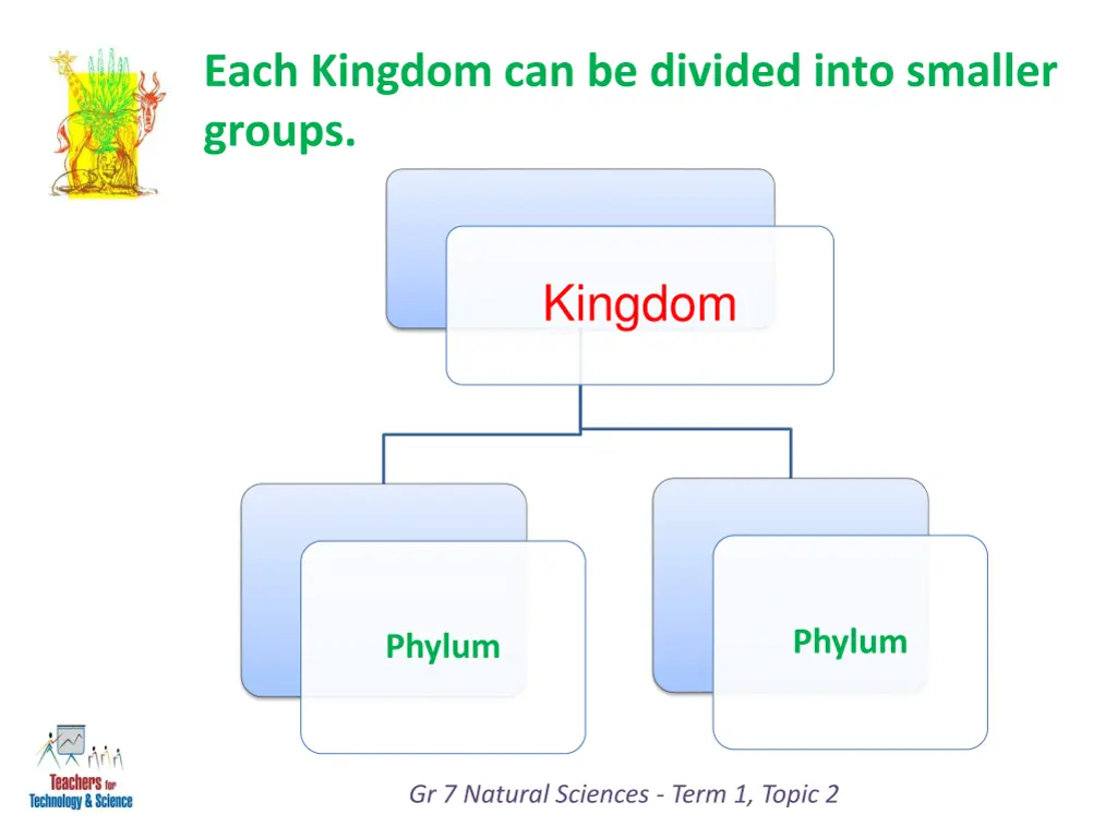 each kingdom can be divided into smaller groups 1