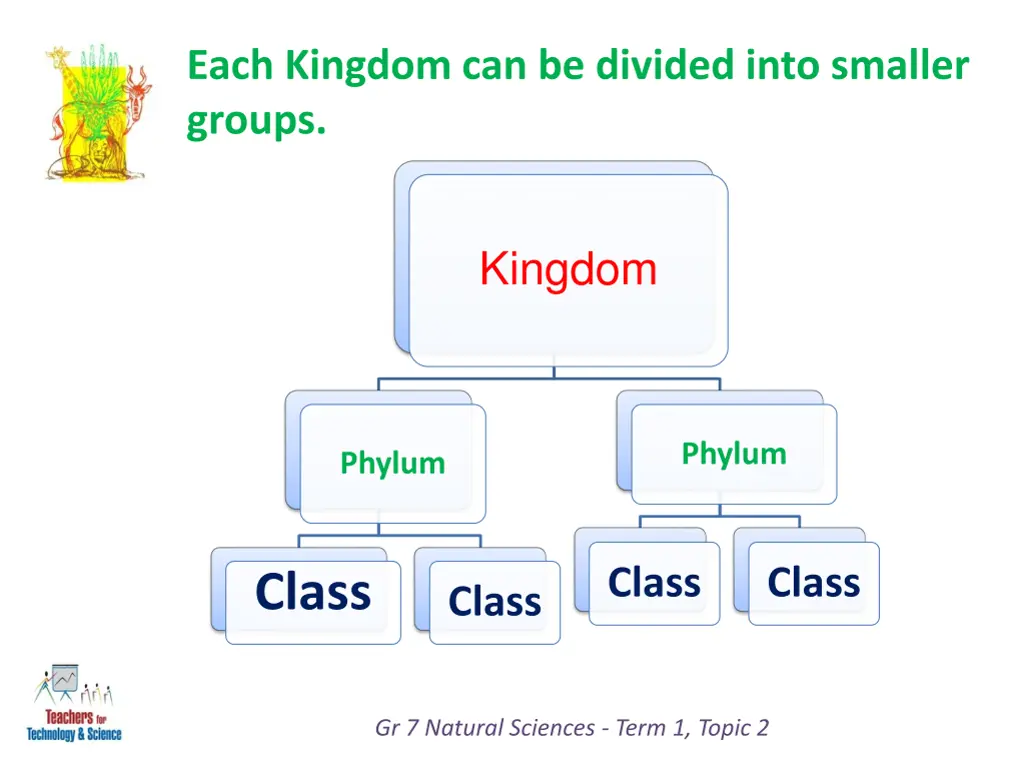 each kingdom can be divided into smaller groups 2