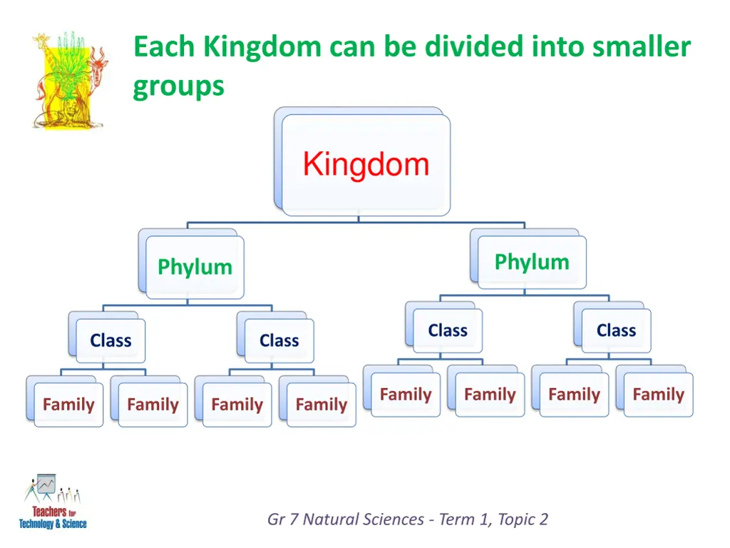 each kingdom can be divided into smaller groups 3