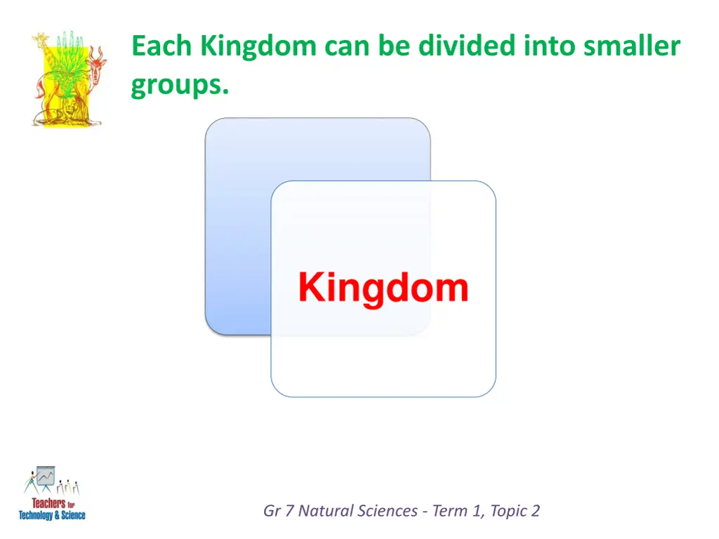 each kingdom can be divided into smaller groups