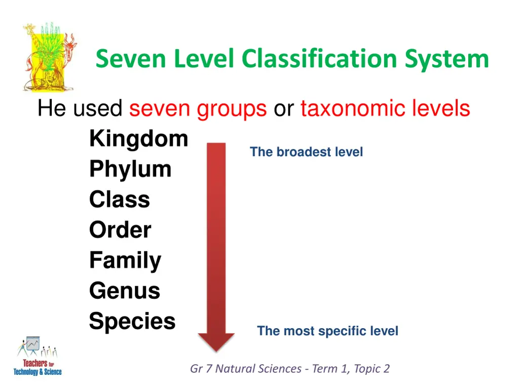 seven level classification system