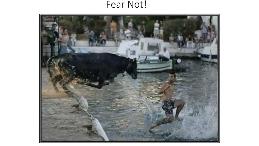 fear not