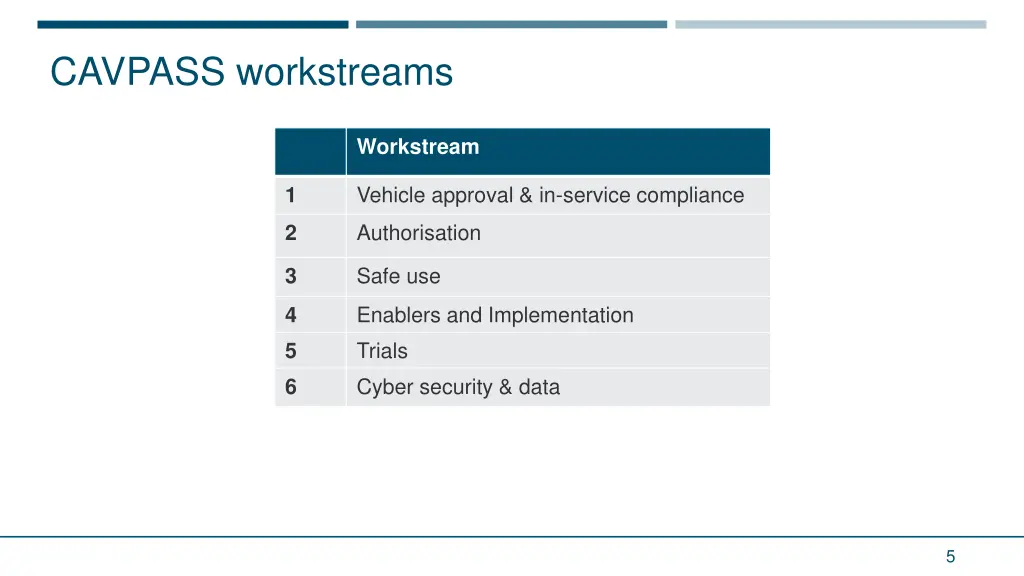 cavpass workstreams