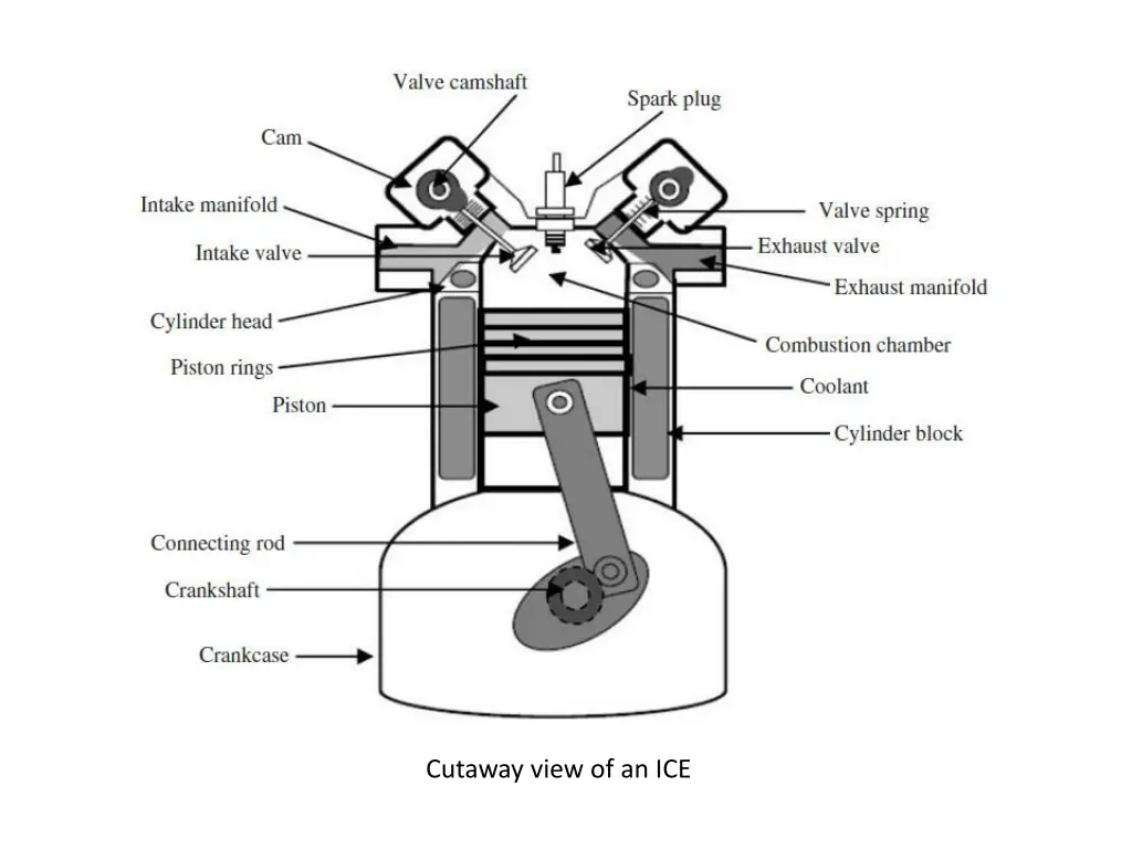 cutaway view of an ice