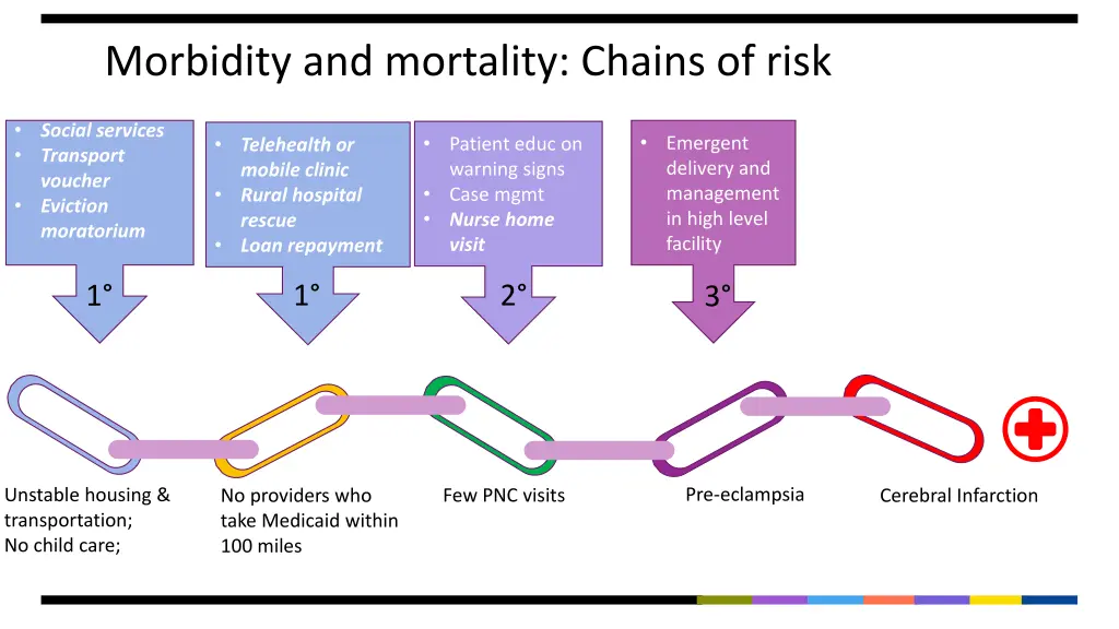 morbidity and mortality chains of risk 13