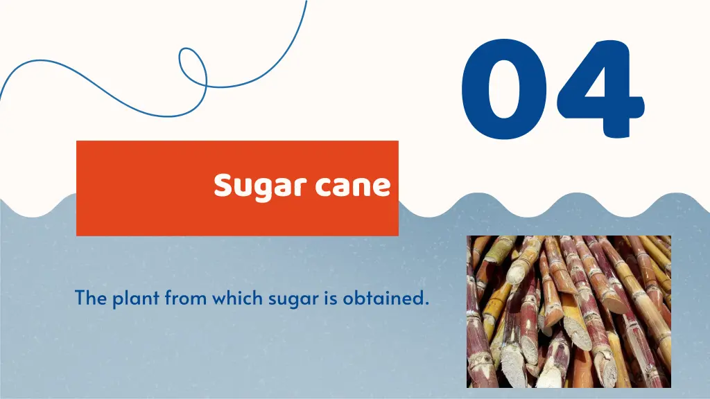 sugar cane 04