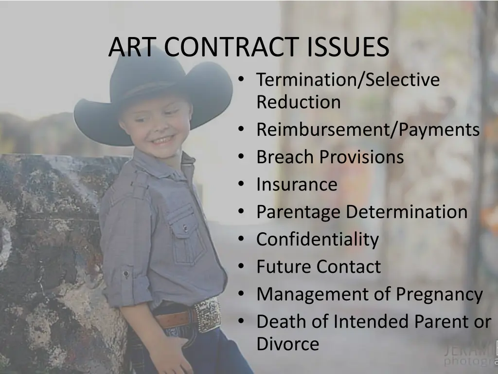 art contract issues termination selective