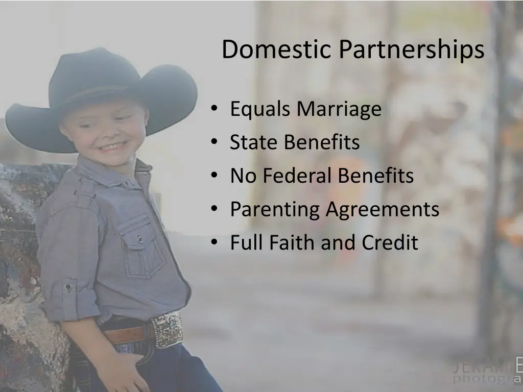 domestic partnerships