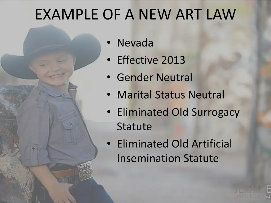 example of a new art law