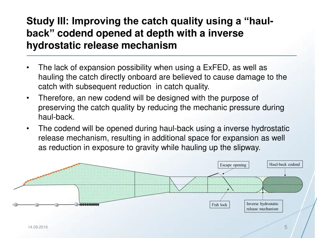 study iii improving the catch quality using