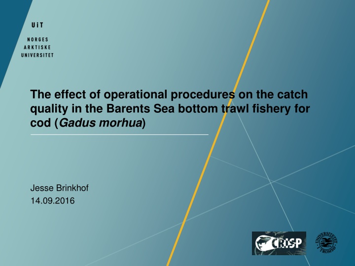 the effect of operational procedures on the catch