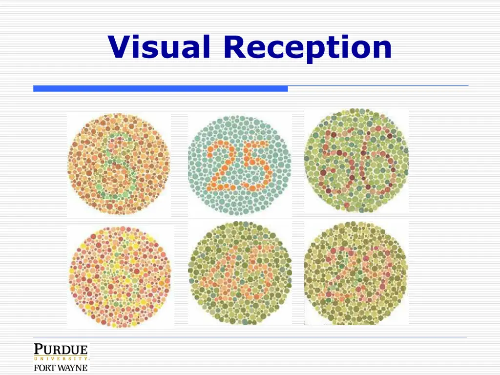 visual reception 2