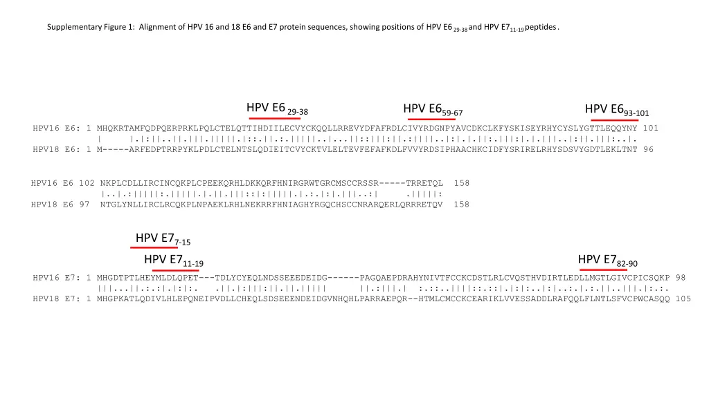 supplementary figure 1 alignment