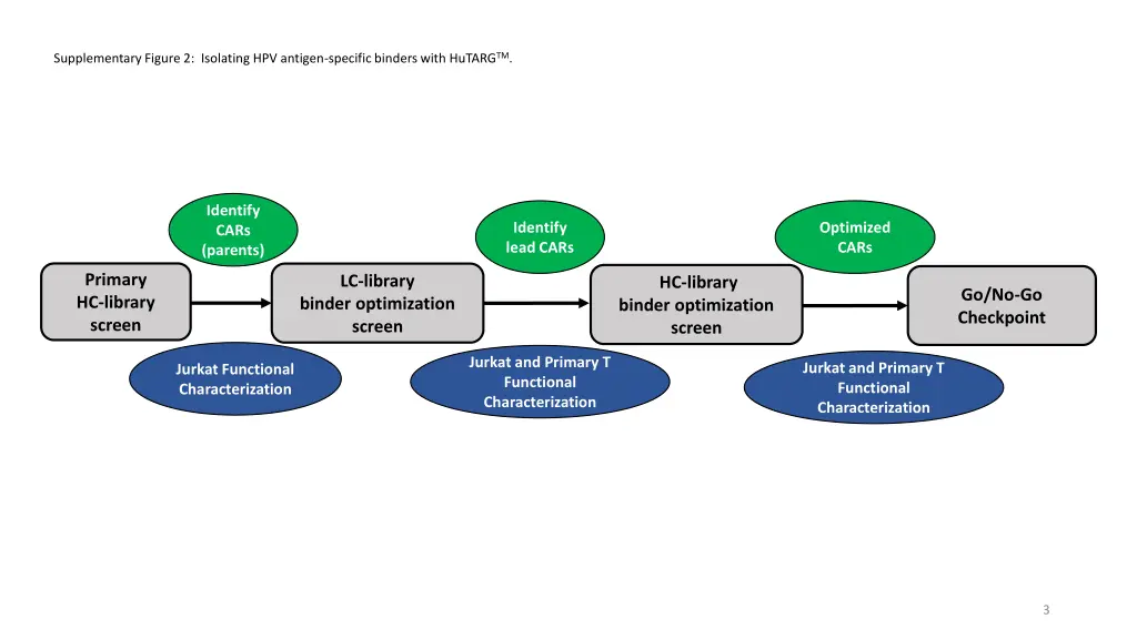 supplementary figure 2 isolating hpv antigen