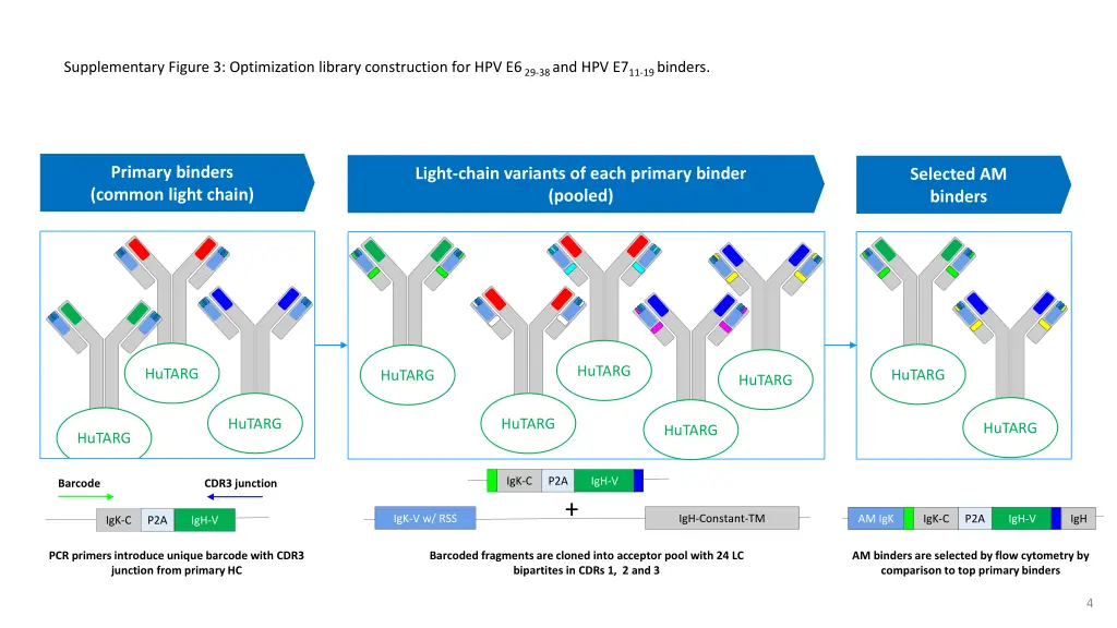 supplementary figure 3 optimization library