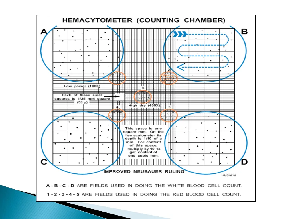 slide11