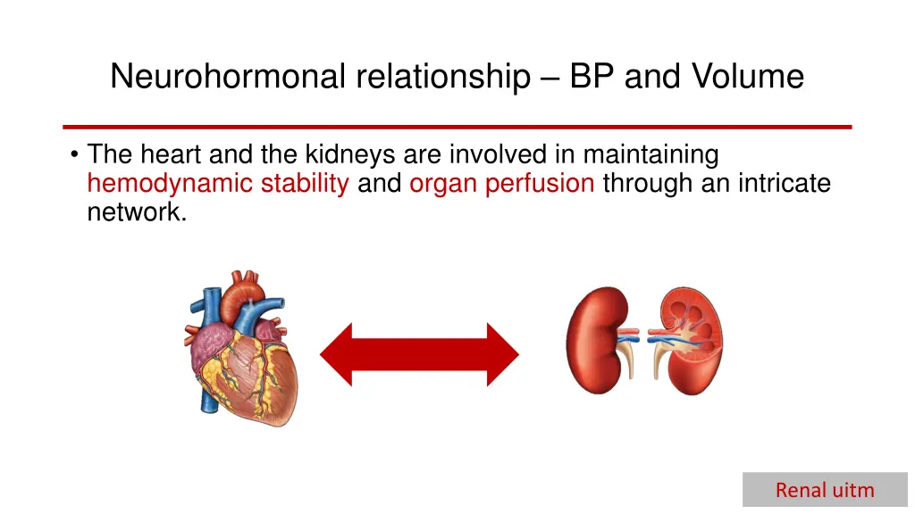 neurohormonal relationship bp and volume