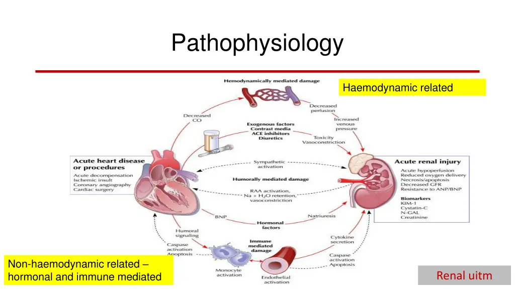 pathophysiology