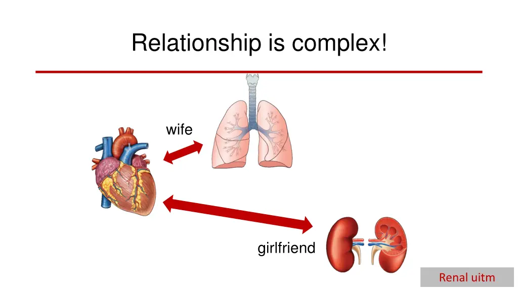 relationship is complex 1