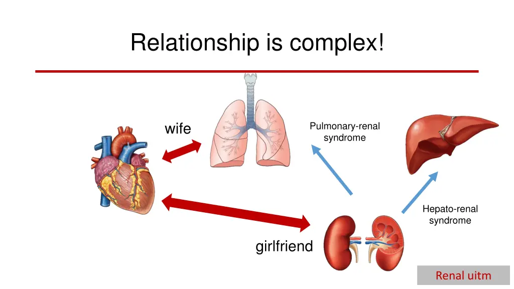 relationship is complex 2