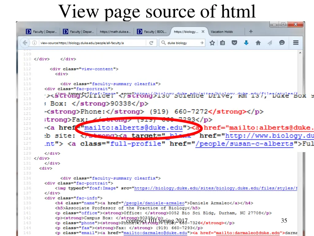 view page source of html