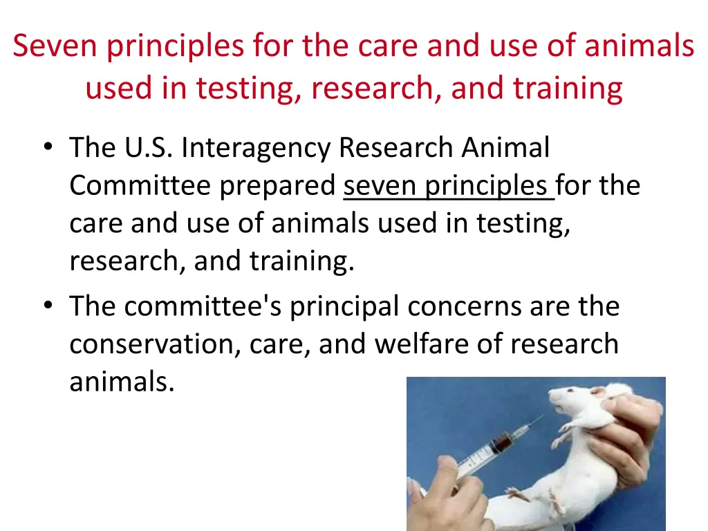 seven principles for the care and use of animals