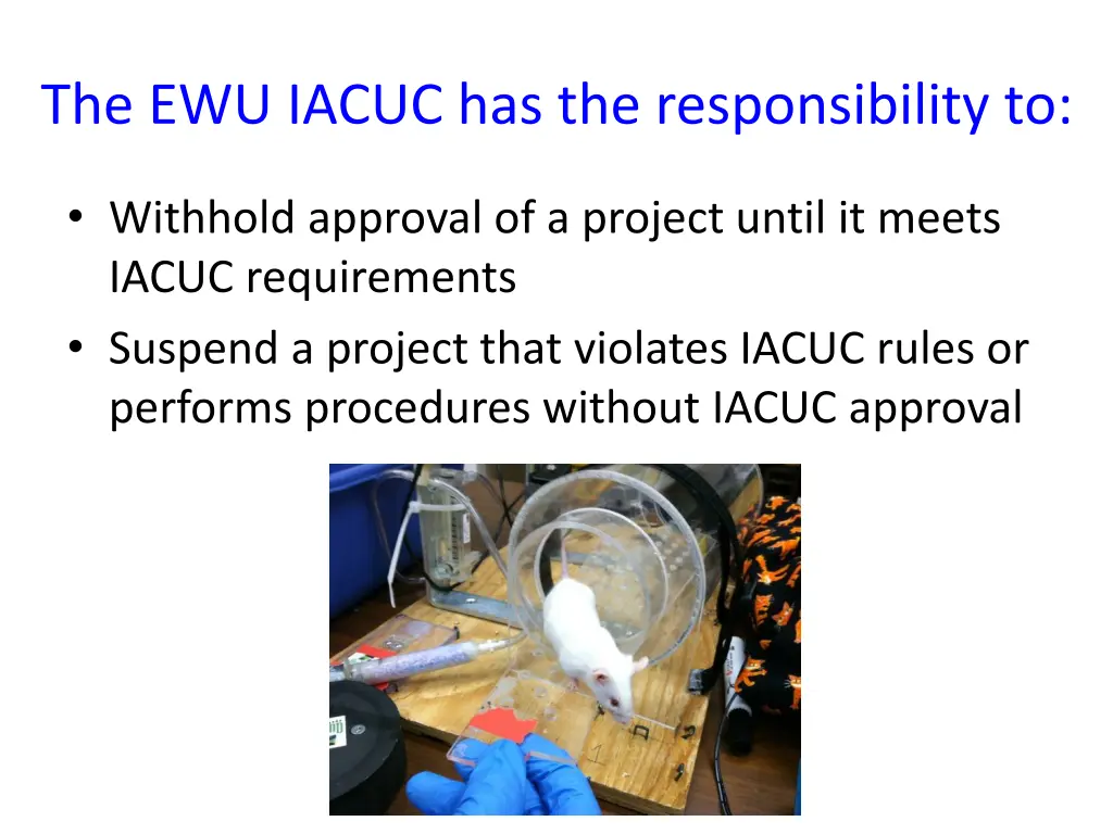 the ewu iacuc has the responsibility to