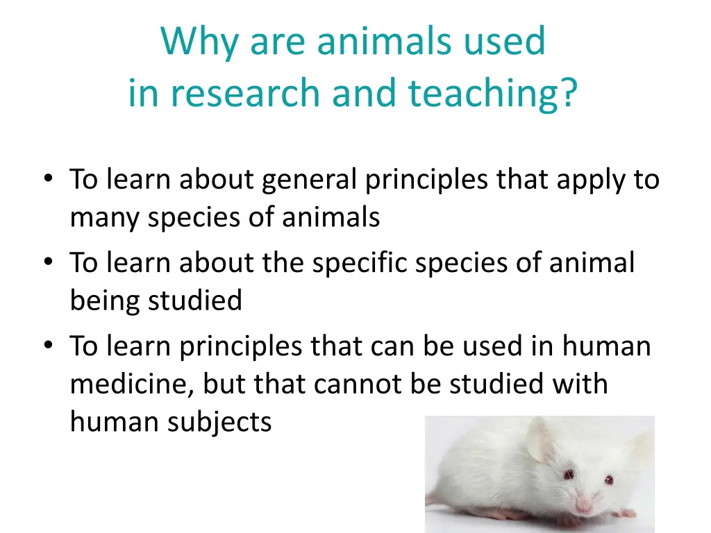 why are animals used in research and teaching