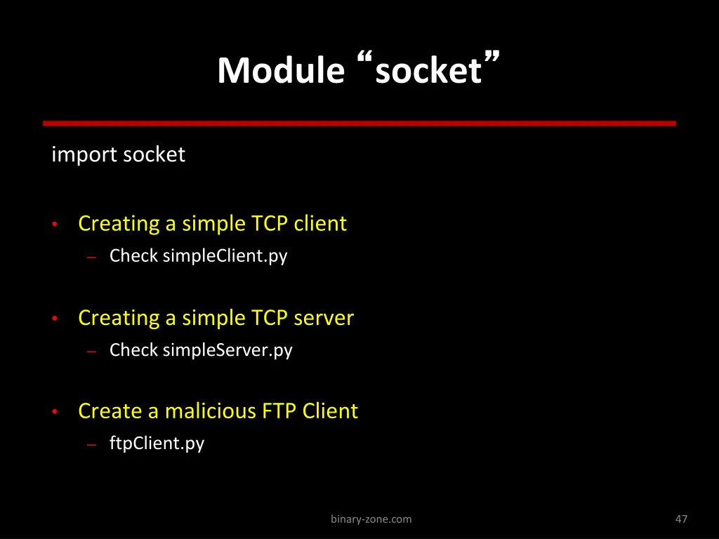 module socket