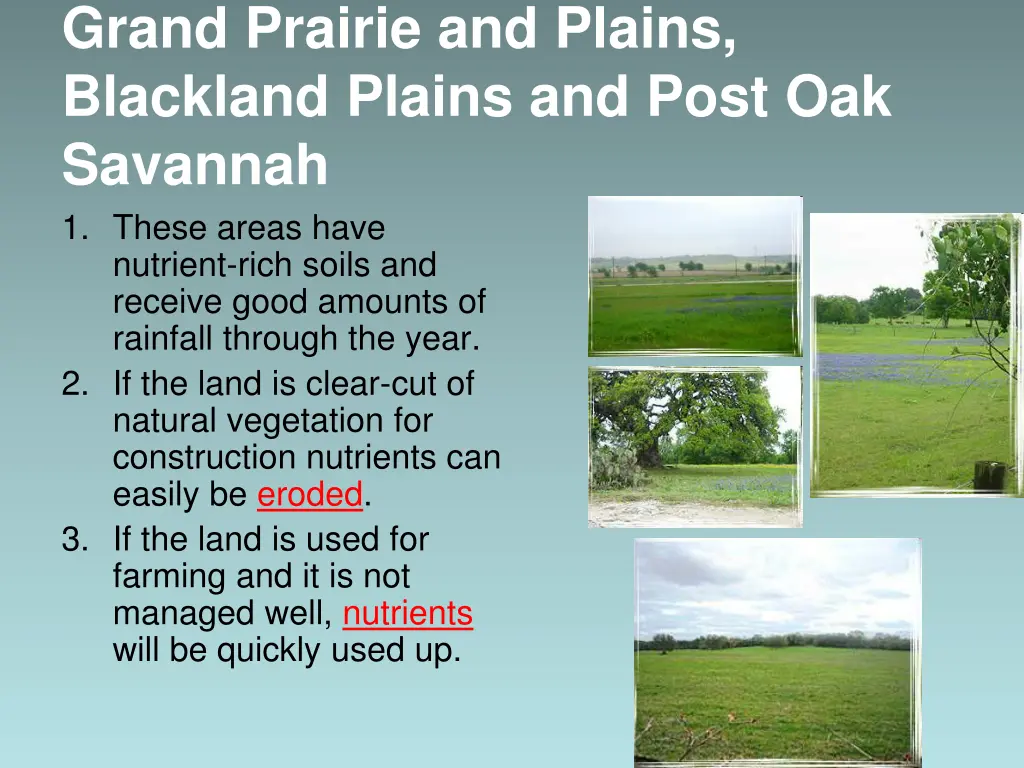 grand prairie and plains blackland plains