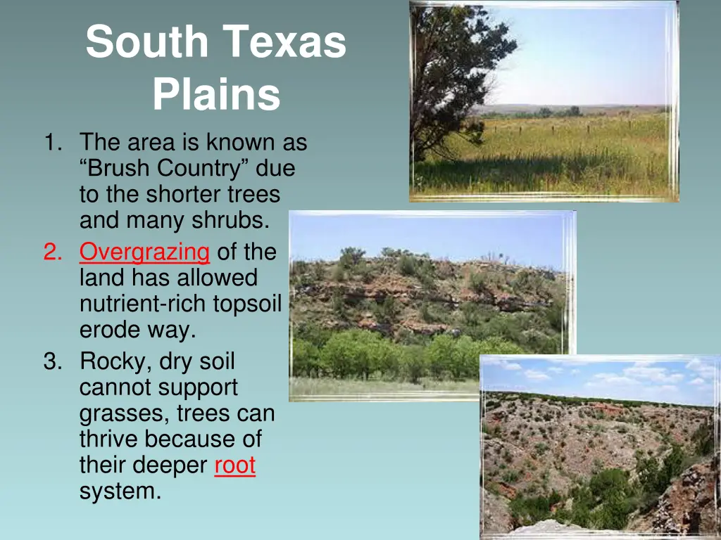 south texas plains 1 the area is known as brush