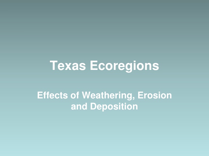 texas ecoregions