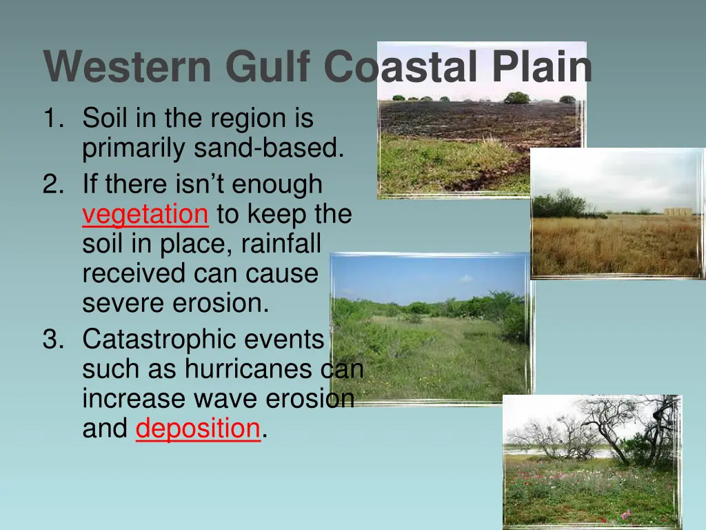 western gulf coastal plain 1 soil in the region