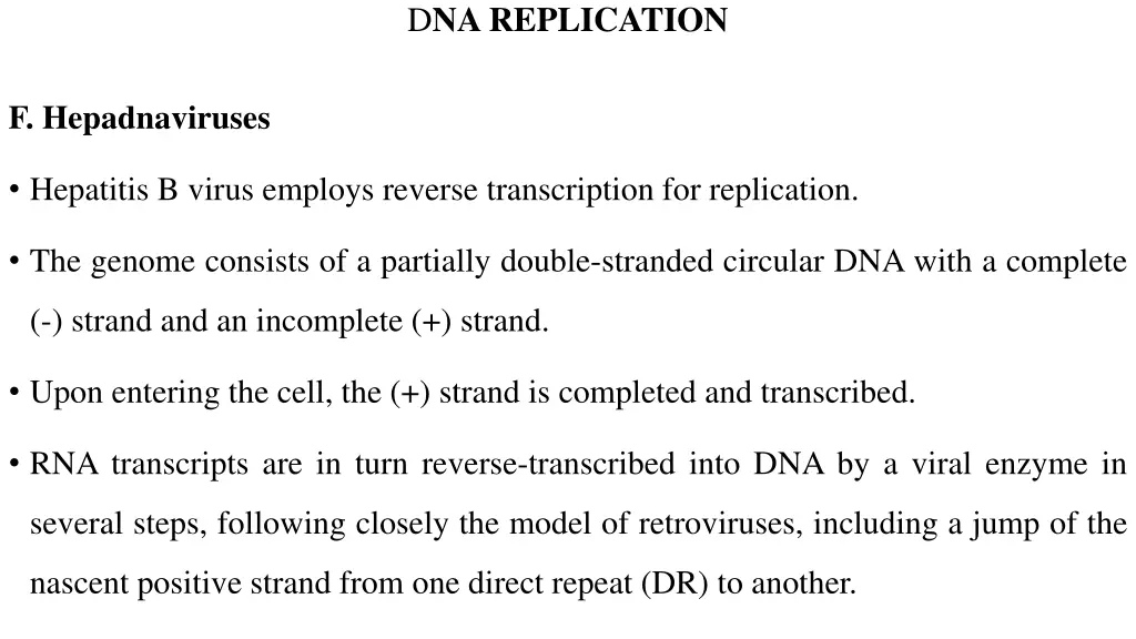 d na replication 2