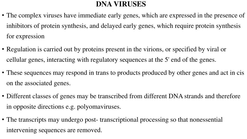 dna viruses 1