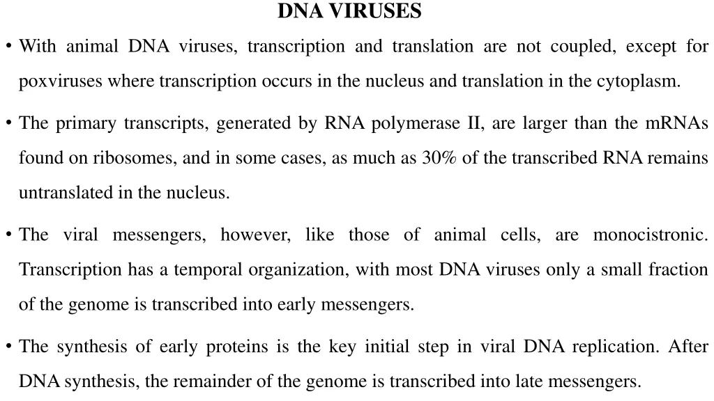 dna viruses