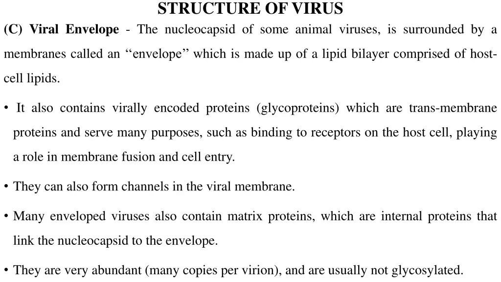 structure of virus 2