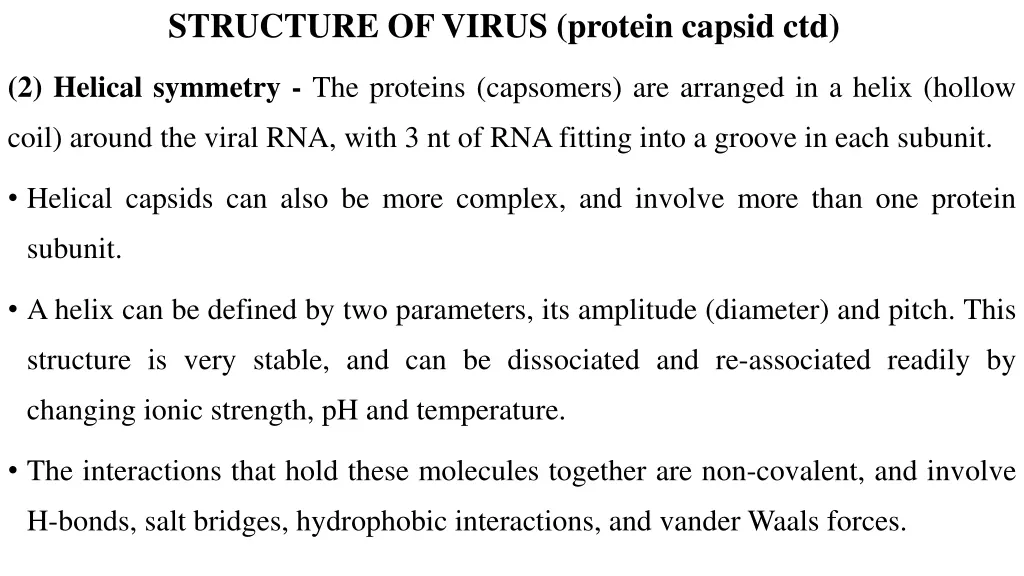 structure of virus protein capsid ctd