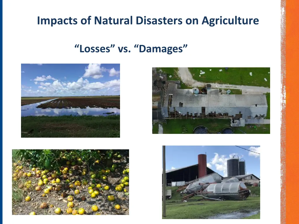 impacts of natural disasters on agriculture