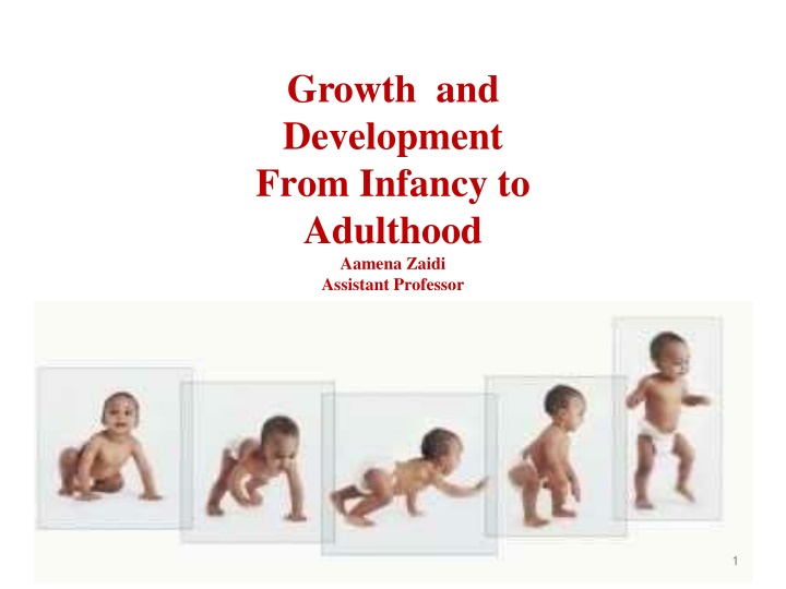 growth and development from infancy to adulthood