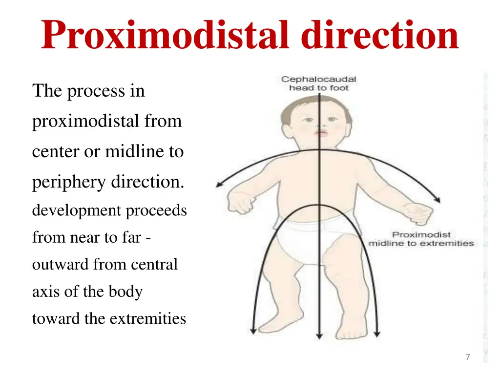 proximodistal direction