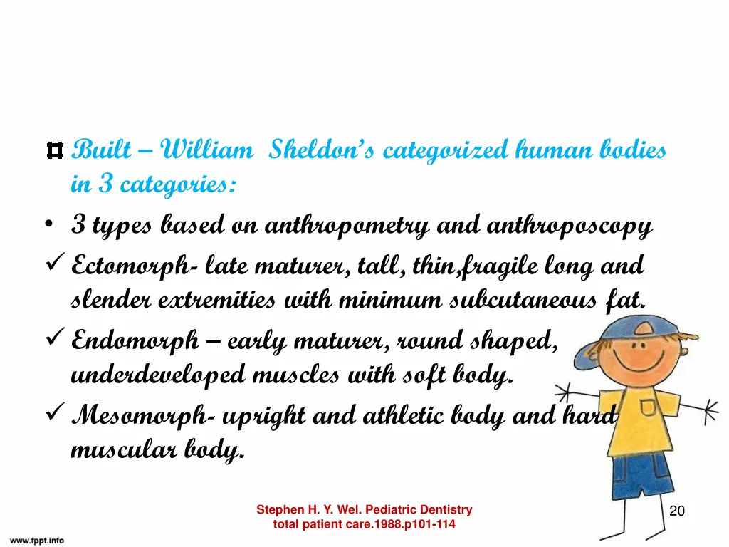 built william sheldon s categorized human bodies