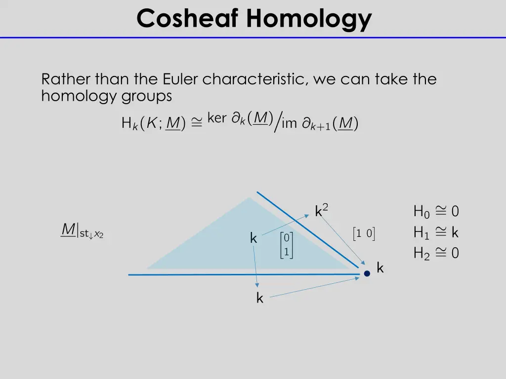 cosheaf homology 1