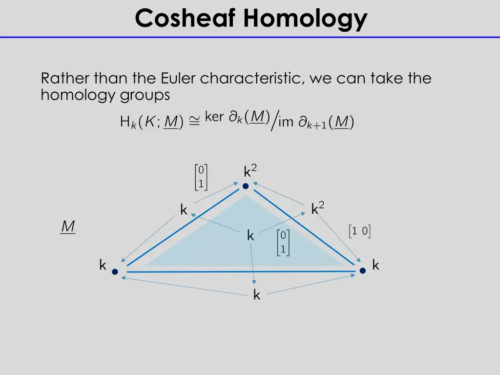 cosheaf homology