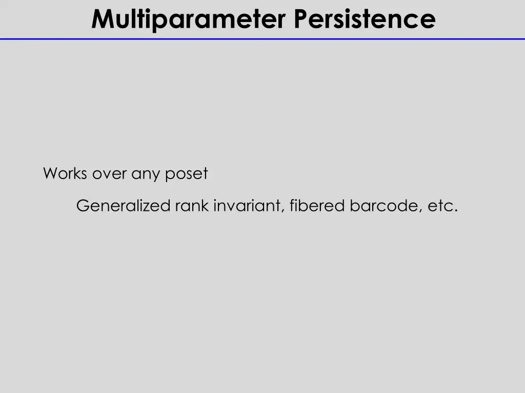 multiparameter persistence