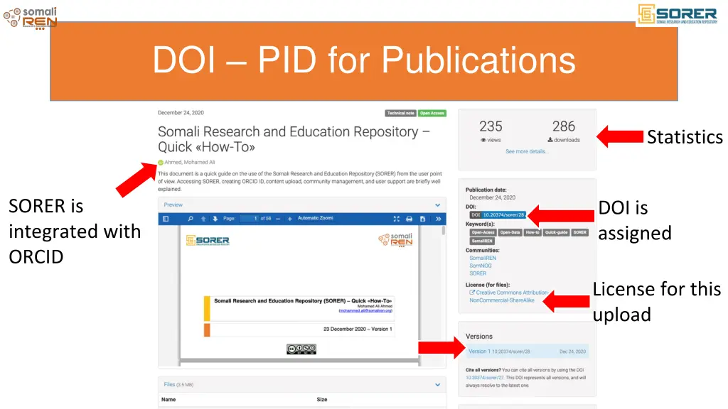 doi pid for publications 1