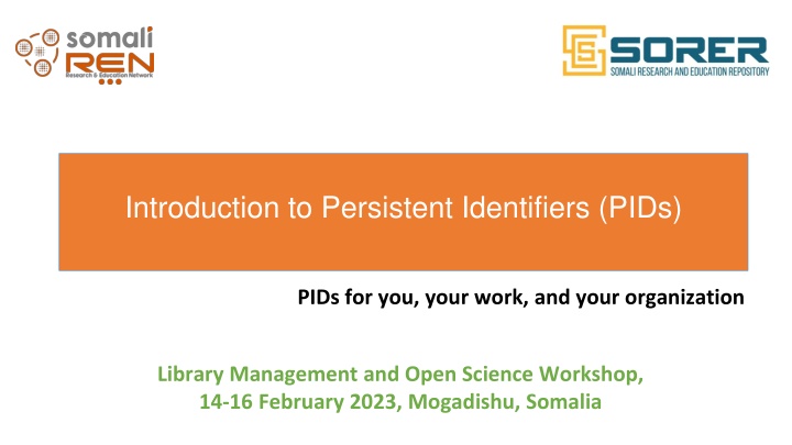 introduction to persistent identifiers pids