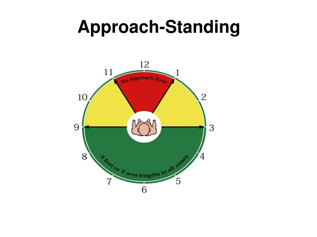 approach standing