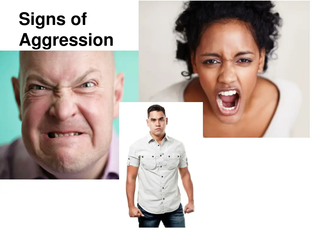 signs of aggression