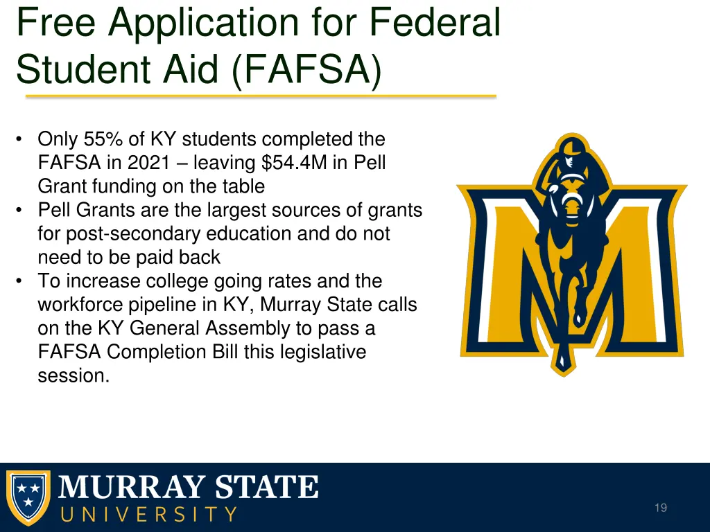 free application for federal student aid fafsa